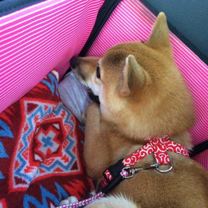 9f122bcd f92a 40a2 bc40 05c5aedab353