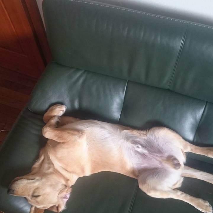 9f12768a d534 4385 98fb 49078872851d