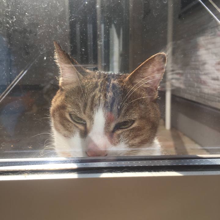 9f1287d0 b6a2 4c7c a400 d93ac9ef5fec