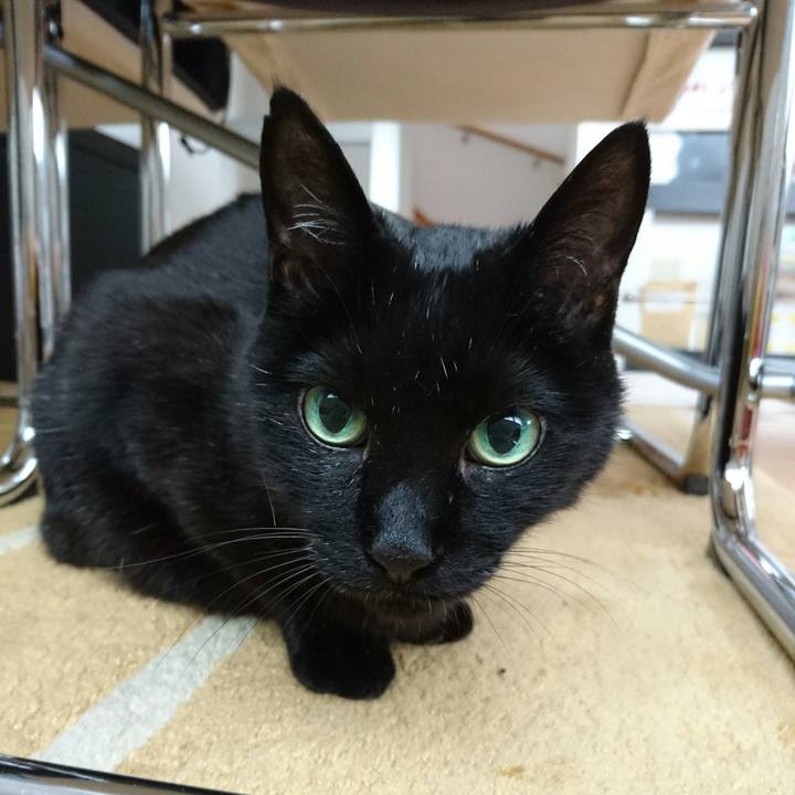 9f13bec7 e76d 4ecd 9ce9 73a963600511