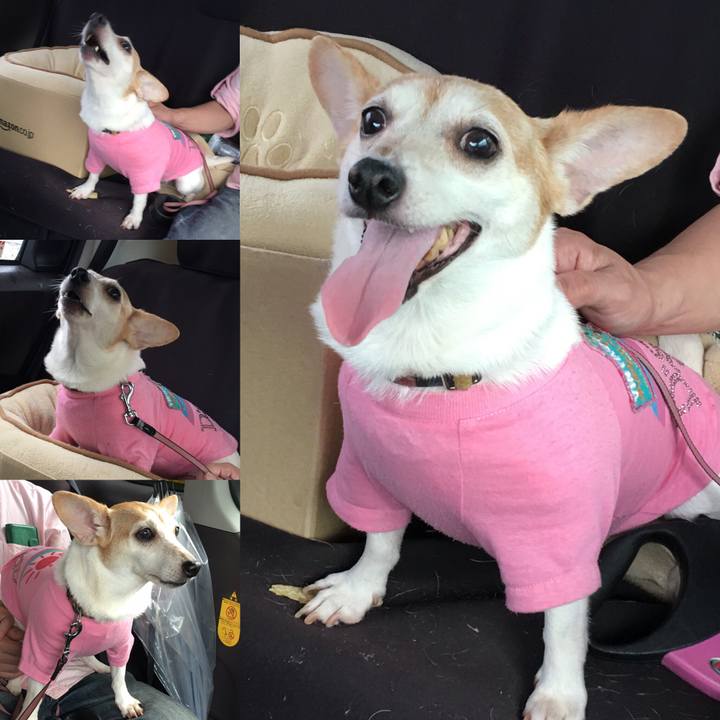 9f13c81d 4bf0 4005 aada d89df6e93381