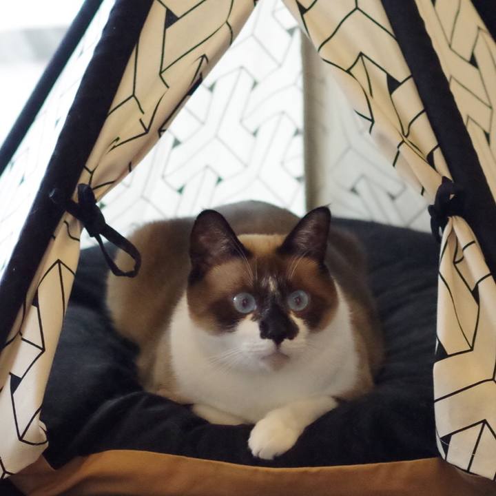 9f142617 f79f 46fe 952d 6715caff5735