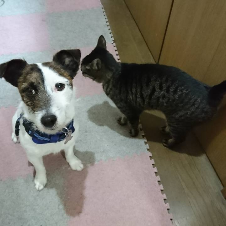 9f145598 42ad 4035 9f5b ed6472f342a8