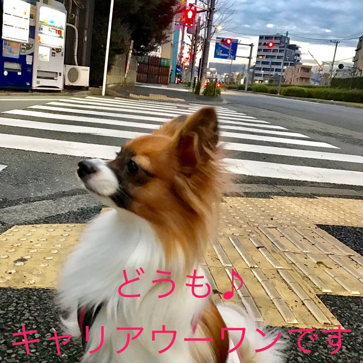 9f149966 612f 49f2 b044 c1110f1acaa6