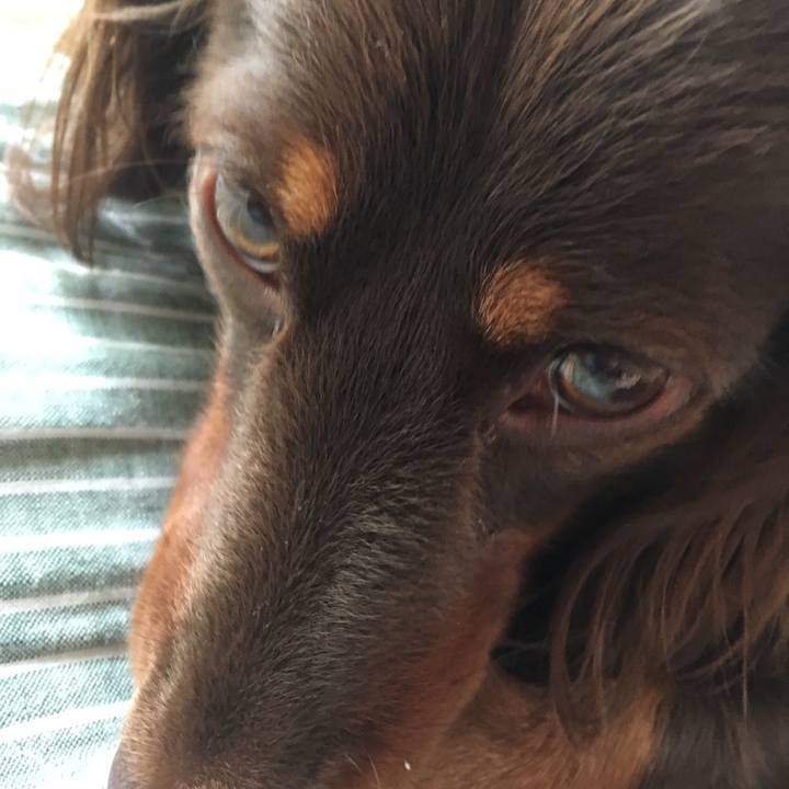 9f14bc40 b4c9 4384 9bc6 ecc4f5efa15b