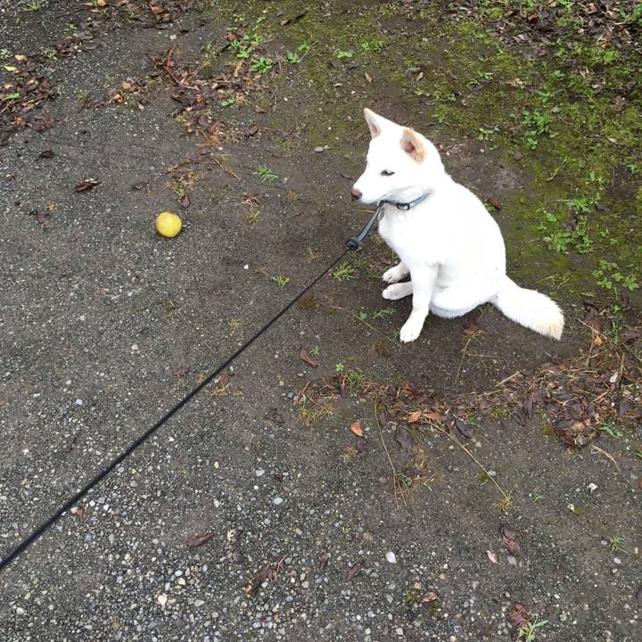 9f14dc19 1f30 478d 8d05 02aeef42654b