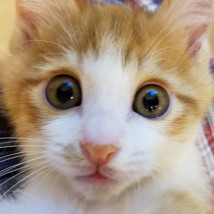 9f15cebb f844 4d7d 84c5 eb1e5dcae71d