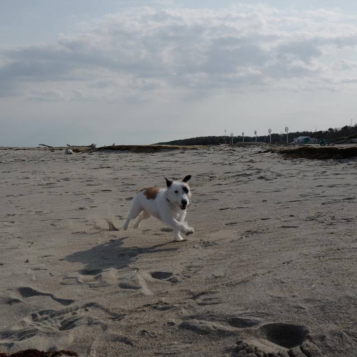 9f162b68 1b84 4666 8a73 1daaecd10b9a