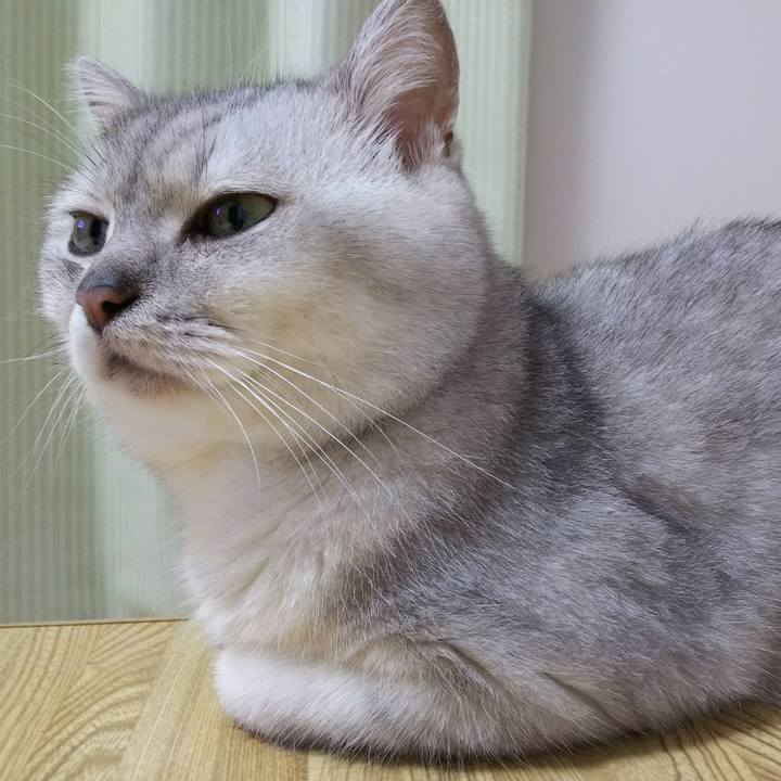 9f163d4a aefc 462a ad05 4a555c373145