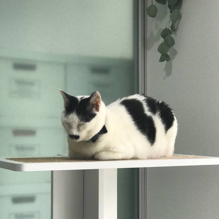 9f167d76 79b4 4a2d 8c13 092c3a49b989