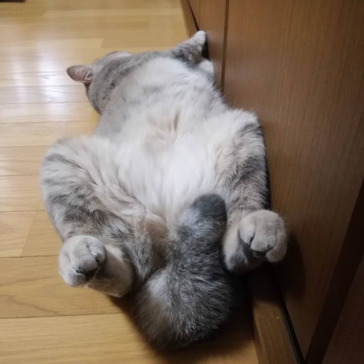 9f172393 5eed 4f10 8c1d a5a32e7dcf33