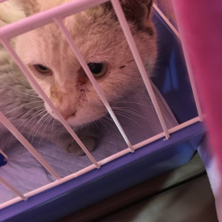 9f172bdb 0a39 4630 9e37 3073b9fdd8f4