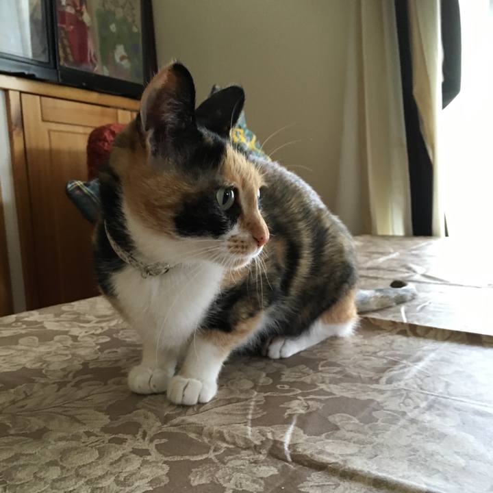 9f189936 ce22 4f72 9cb7 8d75f7b80418