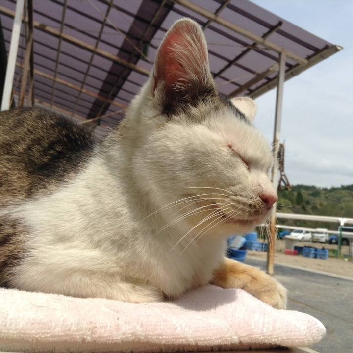 9f199300 180b 410f 9794 1ae82d30e758