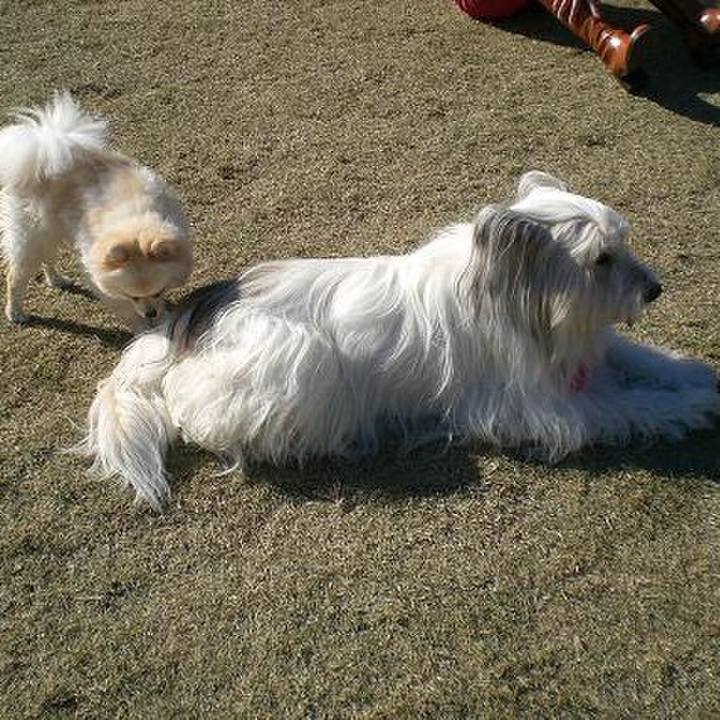 9f19a81b f1d2 4fa8 b888 eda03e74c4bf