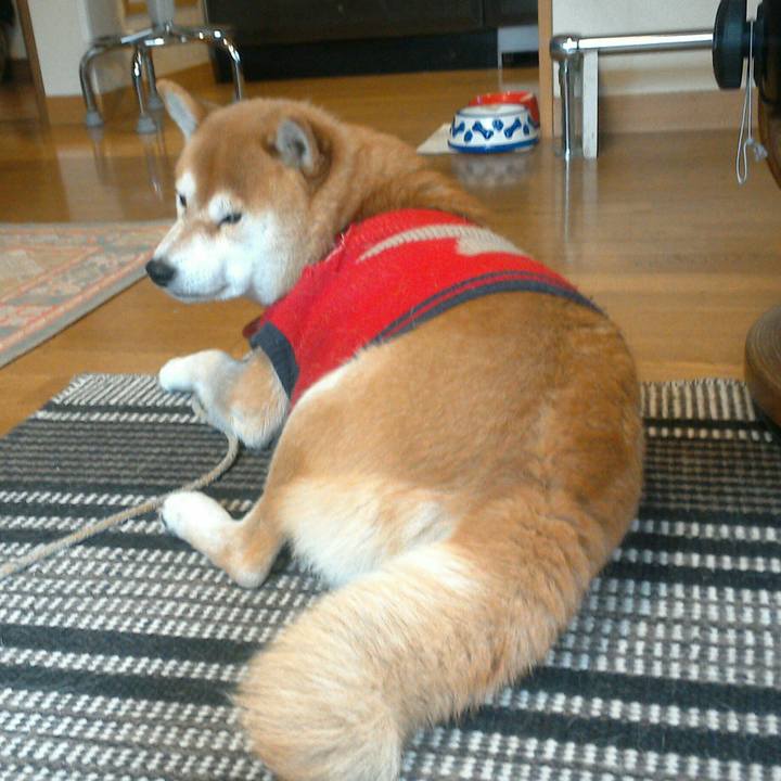 9f19e366 ba36 4f4c a913 77189be3b4e5