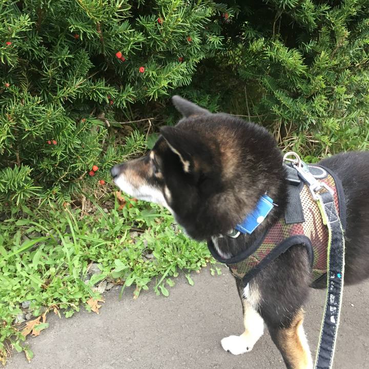 9f1a0aa8 c4b7 4a9e 9789 f658e34fc91f