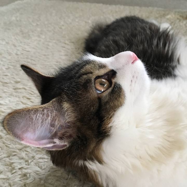 9f1a3443 4c6f 4dad b41b 4efd605d5f09