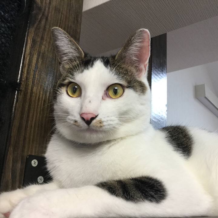 9f1a40cf 5bda 4c9d b87e 5ad16cda9392