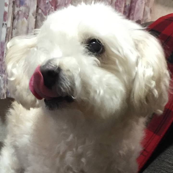 9f1a637e d7ab 4d0d b848 5268196e65e2