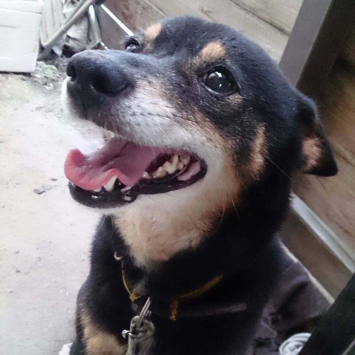 9f1a7537 657d 4323 b4f1 f4106a0954d7