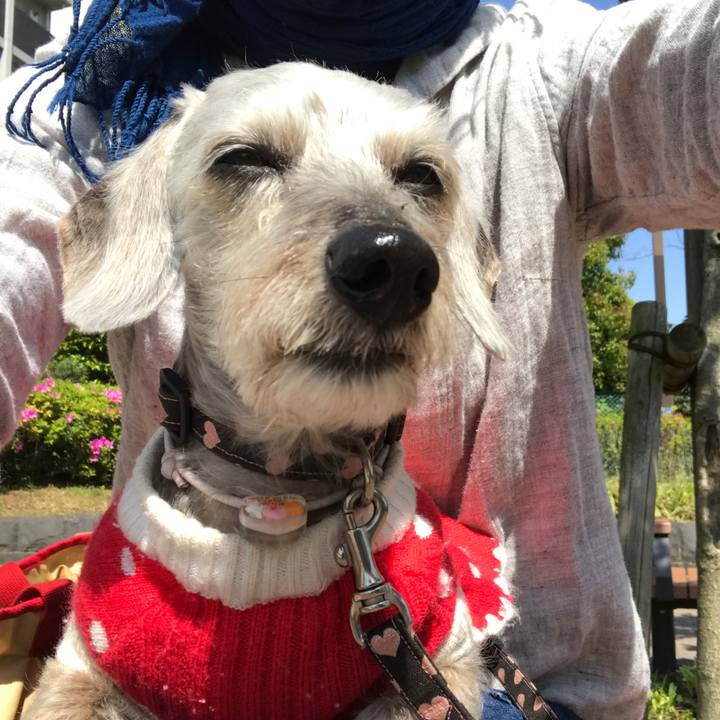 9f1a776a 55b9 4c65 bd7b f65289989026