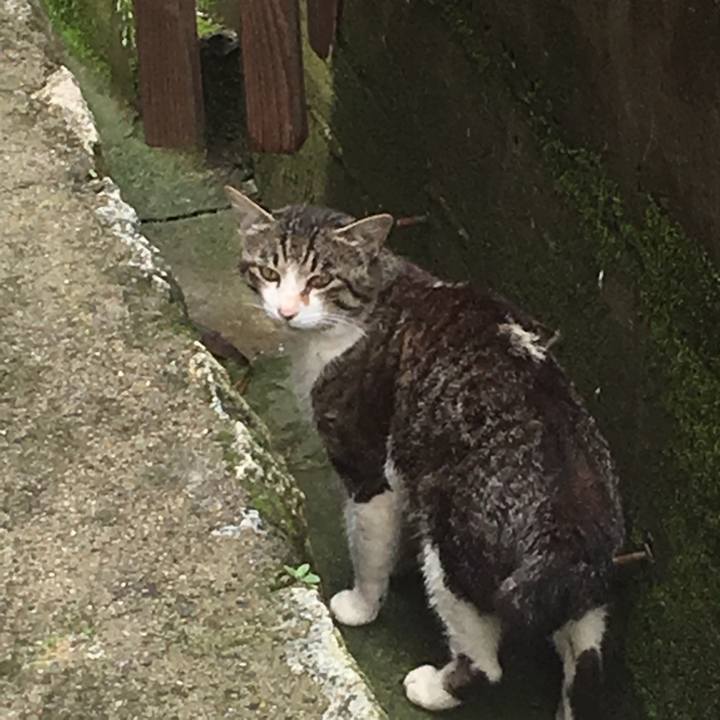 9f1b15b6 8306 45bf bba2 91041f468c15