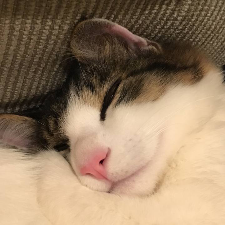 9f1b64c8 9593 4181 b6f7 9db979dacd4e