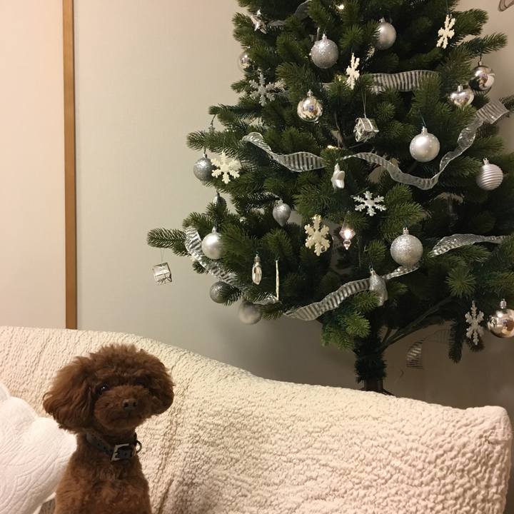 9f1bdf6b c0f7 4bd0 9d46 015e6e43f802