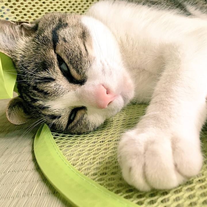 9f1c84b0 1374 4049 8bc2 6b0a50f9b681