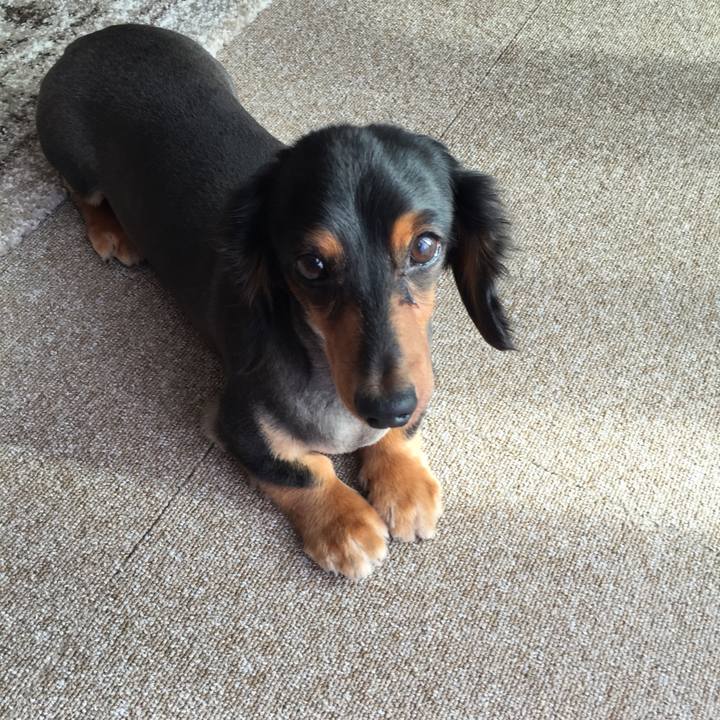 9f1cf258 6a72 43a3 9567 ec88193b02cc