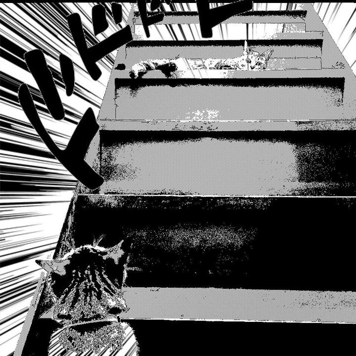 9f1d21ce 30f8 4aec 91c0 fd1a4242e9c1