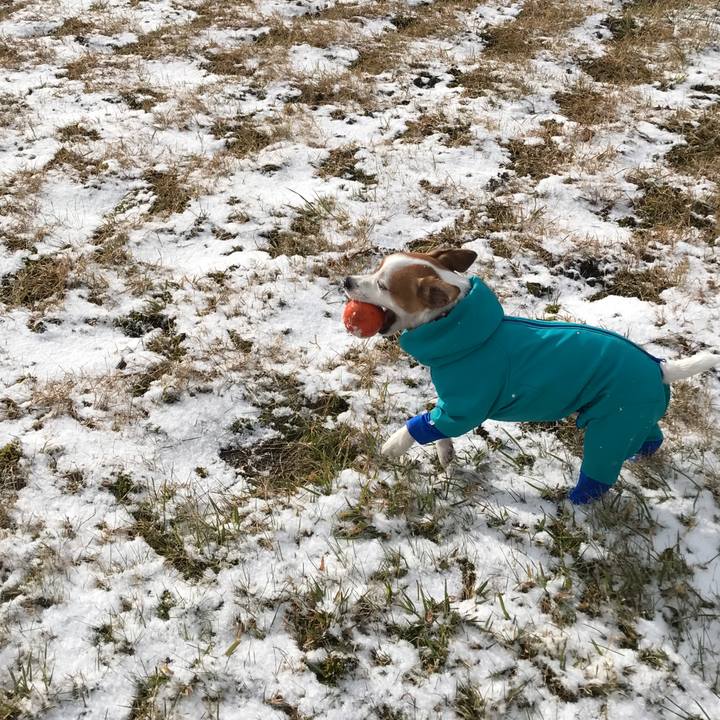 9f1d296c 437e 4d46 a0d9 1df347dd2cb7