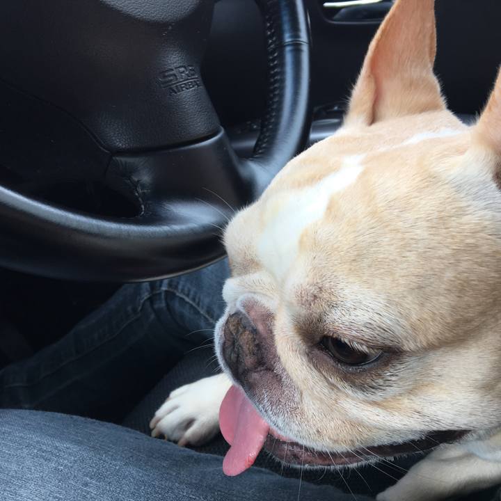 9f1d90da efcf 4cb0 8ab0 b8e5ced4e005