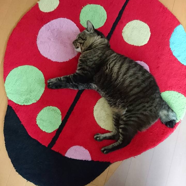 9f1dec28 8a1f 4f27 a01f 7b2e6056ddae