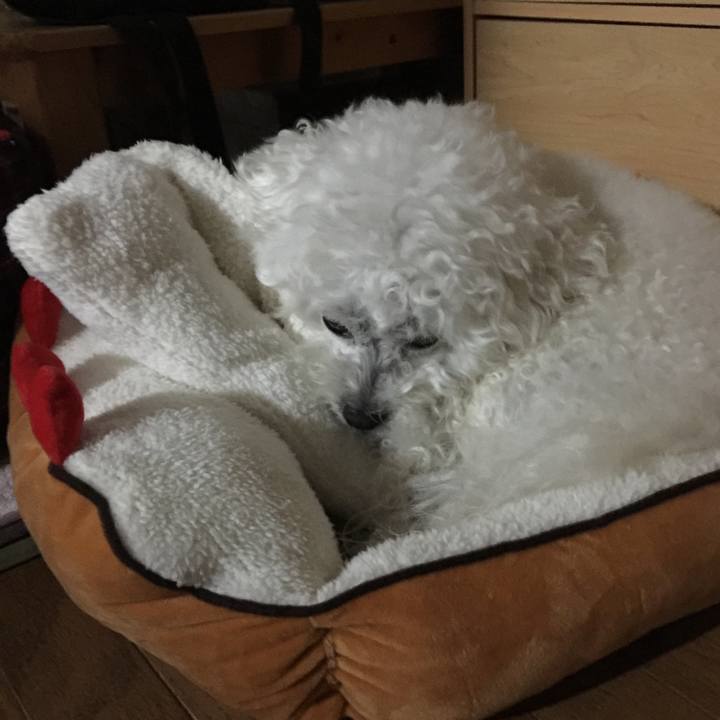 9f1f1226 1167 4dc5 a146 d67035ee4271