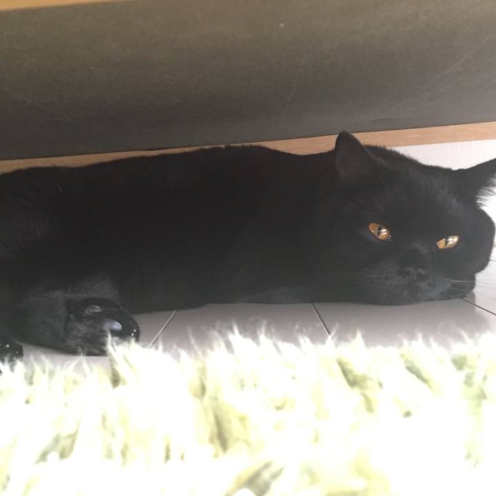 9f1f23a3 b377 4581 9d6d db74d8962395