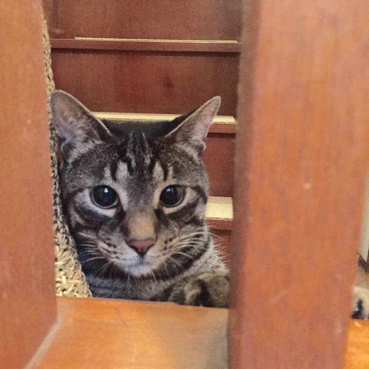 9f1f3618 3d12 478c bafe 17bbd1eea6b4