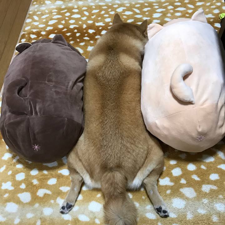 9f20357f df47 4b34 959d 9014b9d0f627