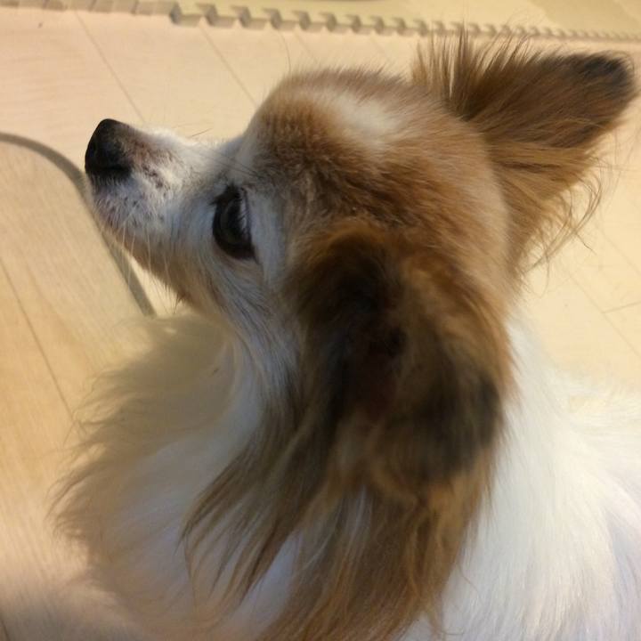 9f20955b 076c 42e5 afc1 9de1859979ff