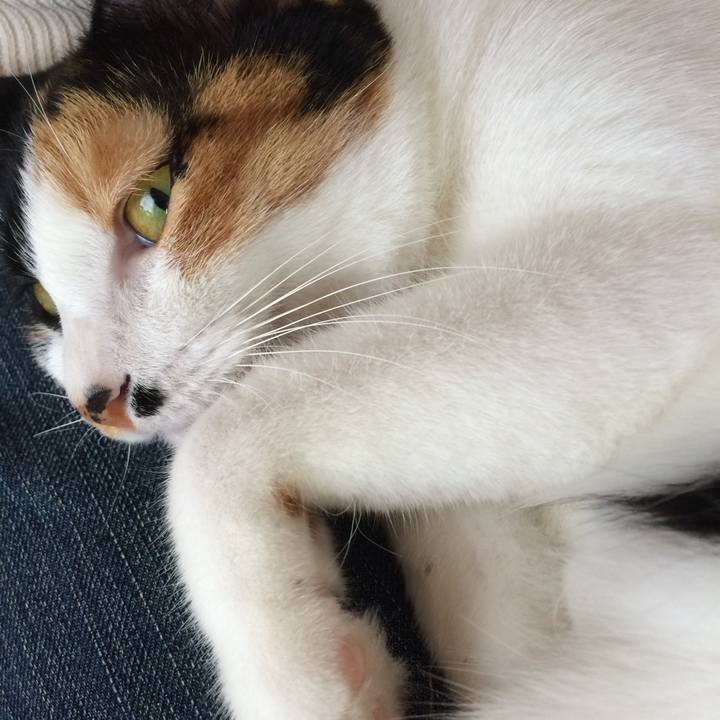 9f211f51 04bc 4b40 bba7 1b81de1022c4