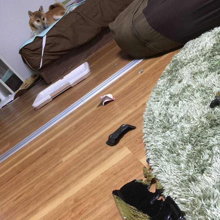 9f21caba 2db4 4a1b 9ee1 88d6bbcb211b