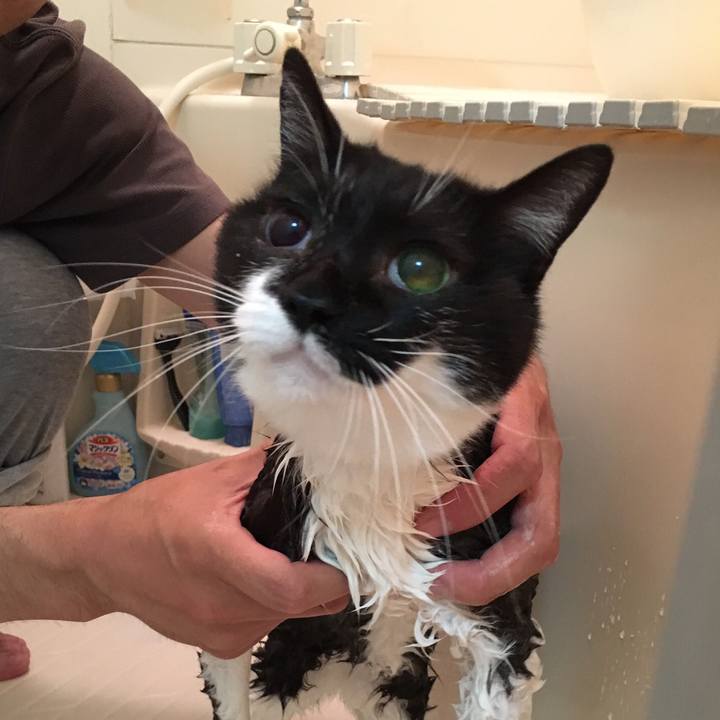 9f21d4f6 29ee 4a32 9860 bebff7e067da