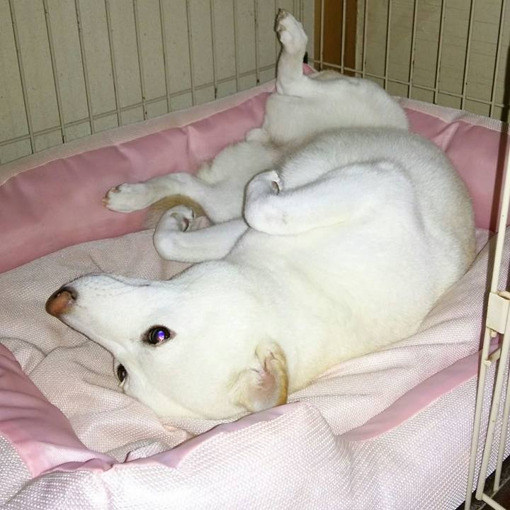 9f221570 b9f7 4b96 bc45 7bb10413cc14