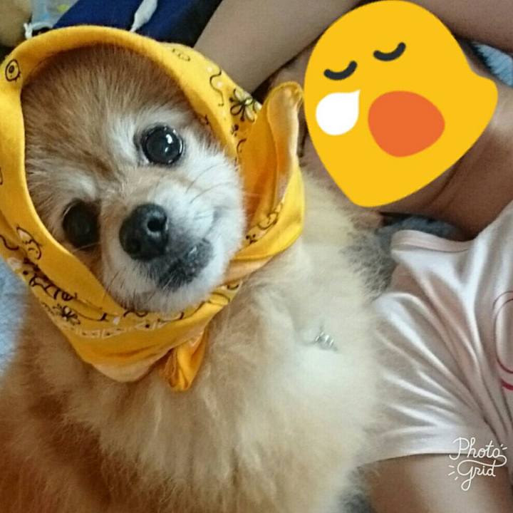 9f22cdf9 afda 4993 a728 91edc96de131