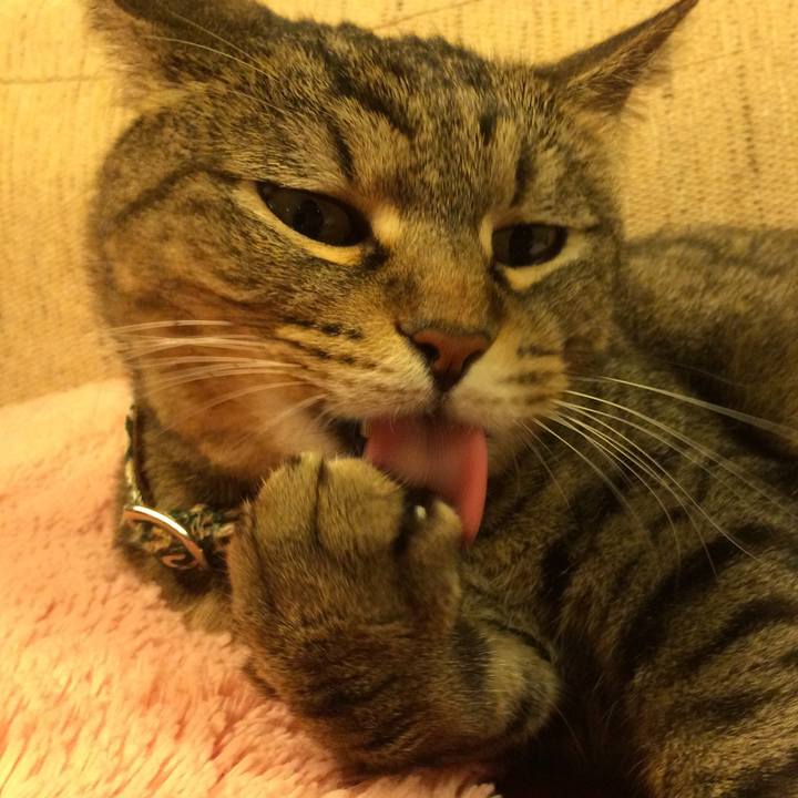 9f22d336 d278 4fbf 9555 d03d42ce0ae3