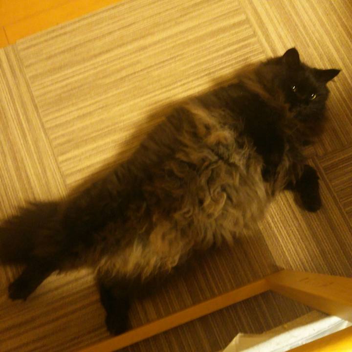 9f238244 964c 4a0e 9bb3 5c6365296e99