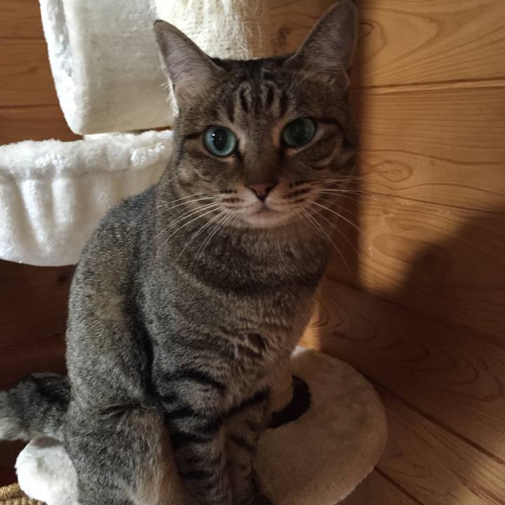 9f23a204 9285 476e b356 57c5282cedea