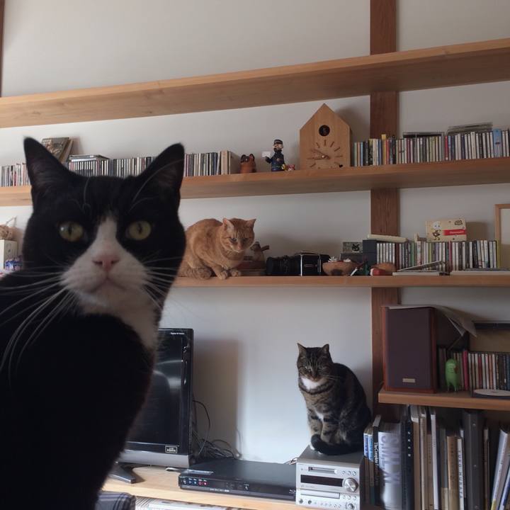 9f23a388 2f79 4f27 aad2 6b3446d1011a