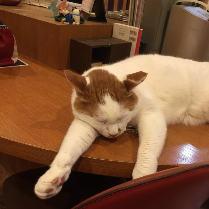 9f23bd7a 3861 4e73 8e34 45e0e3c7ff1d